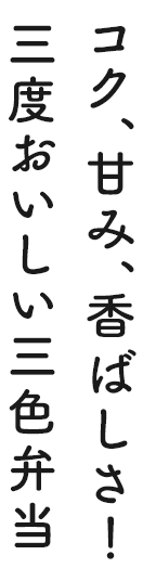 コク、甘み、香ばしさ！三度おいしい三色弁当