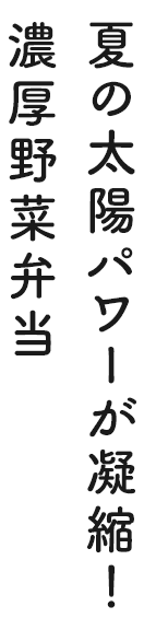 夏の太陽パワーが凝縮！濃厚野菜弁当