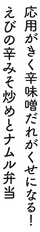 応用がきく辛味噌だれがくせになる！えびの辛みそ炒めとナムル弁当