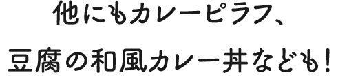 他にもカレーピラフ、豆腐の和風カレー丼なども！