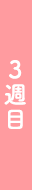3週目